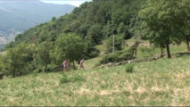 Sexy tourist ussy fucking in the forest