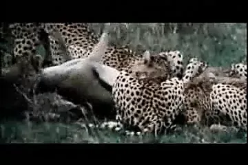 /beam/67a85f1fcc498f247e569787