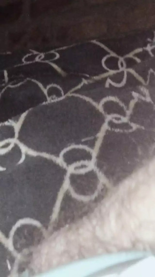 big thick comobian porn filled with lots of milk