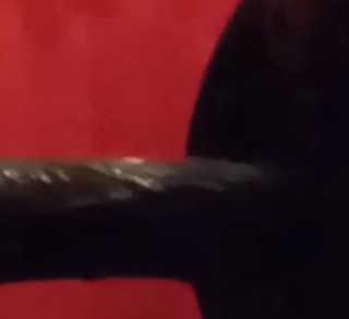 Perfect ass takes the whole 14-in dick thumbnail