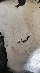 /beam/67a861c4cc498f247e7fd44f