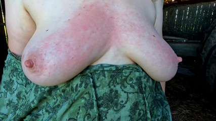 Red tits in the shed