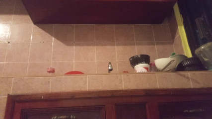 Chubby mom in the kitchen showing thong 2