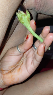 Indian fisting  with vegetable