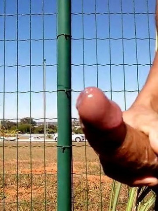 public flash brasilia 4
