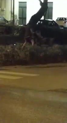 /beam/67a85fe2cc498f247e63aeeb