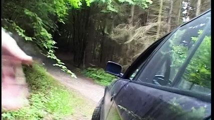 Blondine am Strassenrand aufgerissen und durch gefickt