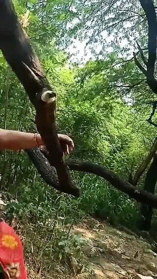 /beam/67a86168cc498f247e7b2437