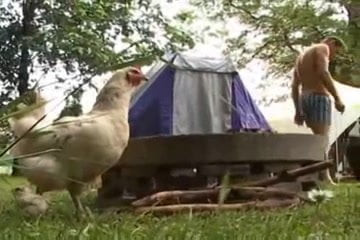 Camping Trip
