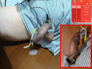 estim20260226