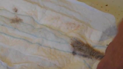 /beam/67a85f19cc498f247e562b18