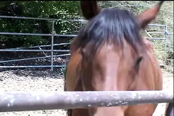 /beam/67a8622acc498f247e84c4aa