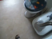 Swallow My Piss