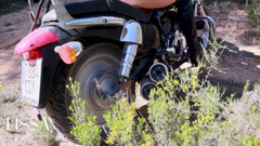 Vibrations in My Motorcycle That Make Plants Move with the E