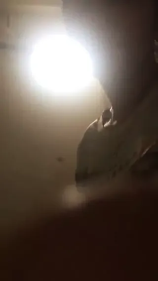 /beam/67a85ff4cc498f247e64d8b1