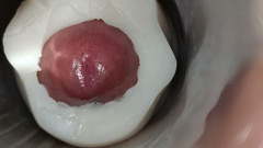 Internal view: vulva twitching and ejaculating 5