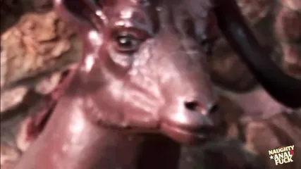 /beam/67a8634ccc498f247e92ebdf