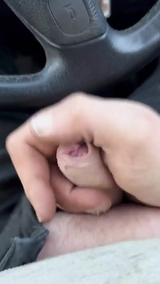 Car Wank
