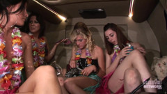 Party girls dressed for Luau get naked in limo
