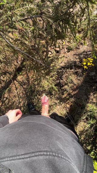 Jerk off in the forest