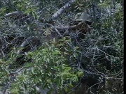 Hot bitch ass fucked on the hiking trail