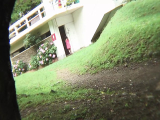 Sex Vacation In Japan With A Beautiful Slut Uncensored # 1 –