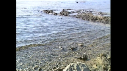 Karma in a Film Full of Surprises