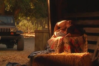 Blonde Babe Gets Hardcore Fucked in the Barn