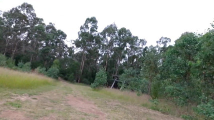 Park fun