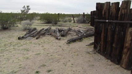 Desert Cow Pen Cum 3