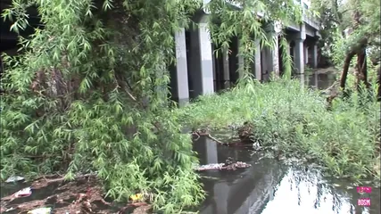 /beam/67a86352cc498f247e9333c4