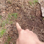 Go Outside Then Pissing Pussy Show up