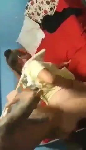 /beam/67a86047cc498f247e69fefe