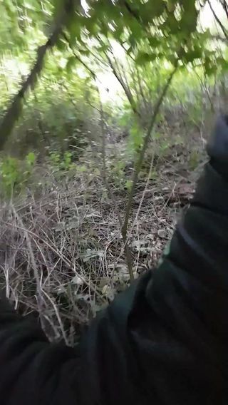 /beam/67a86037cc498f247e690c0c