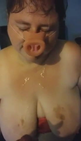 Pig BJ