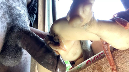 Second Desi Anal sex with Bhabhi thumbnail