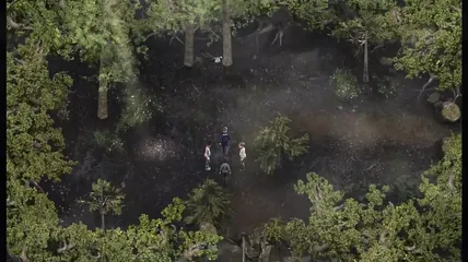 /beam/67a86377cc498f247e950f6b