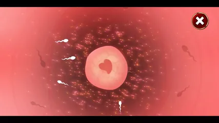 /beam/67a862f7cc498f247e8ea573