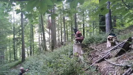 /beam/67a8627fcc498f247e88d1a8