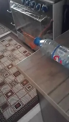 flpdpt