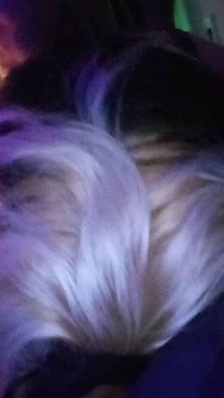 Doggy fsce