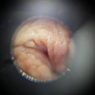 /beam/67a8605bcc498f247e6b4340