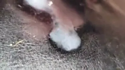 /beam/67a86333cc498f247e91a64a