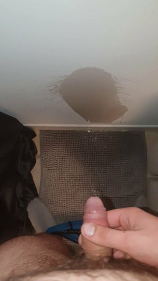 Piss in my new flat