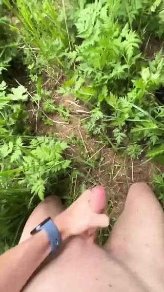 In the Forest.