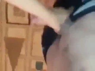 /beam/67a860facc498f247e74b759