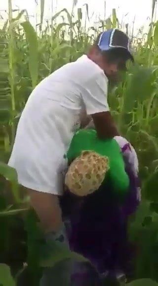 /beam/67a85fb2cc498f247e60a200