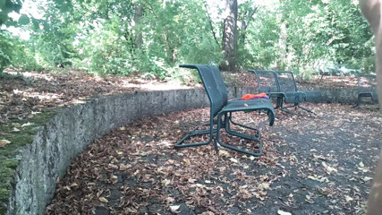 Public Viewing