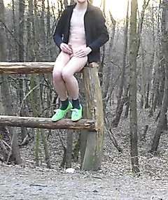 wooden railing