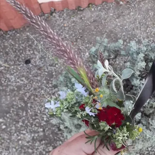 /beam/67a862e4cc498f247e8db233